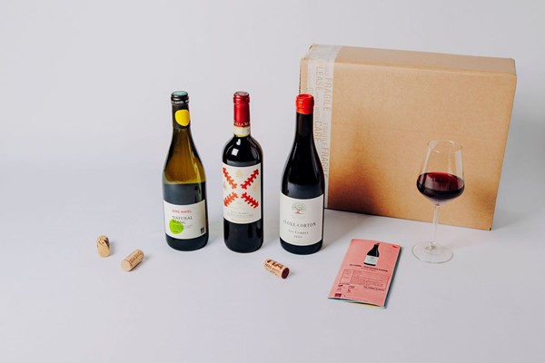 Box Découverte
