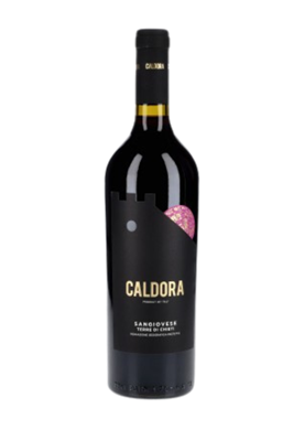 1621 Sobelvin caldora_13397