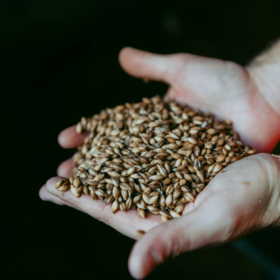 Malt_Springbank