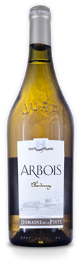 3811 Chardonnay Pinte_13528