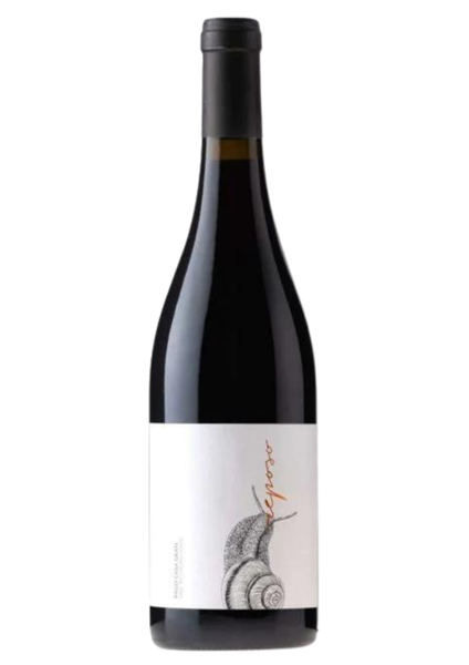 REPOSO ROUGE DOP Valencia