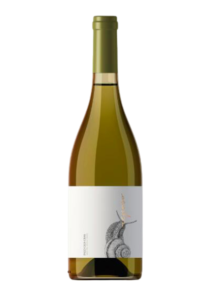 REPOSO BLANC DO Valencia