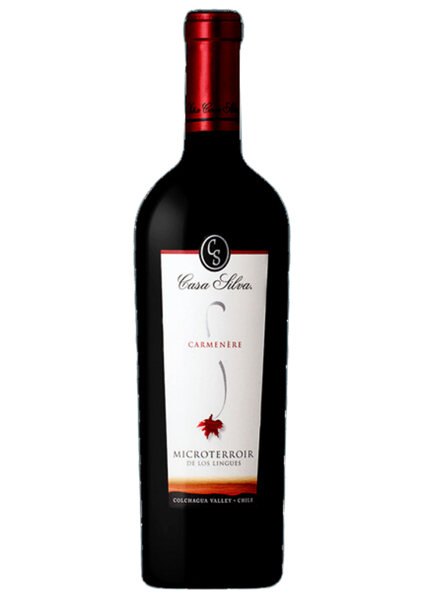 CASA SILVA MICROTERROIR DE LOS LINGUES
