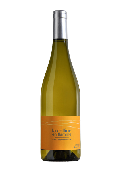ROMAIN PAIRE             "La Colline en Flamme"